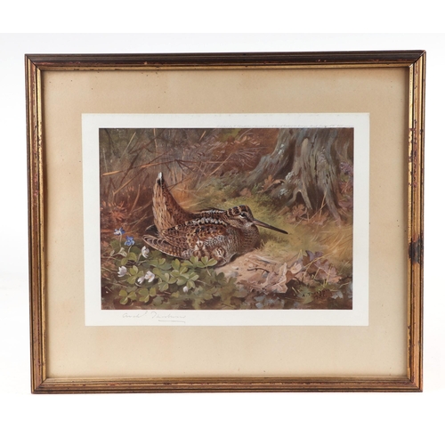 135 - After Archibald Thorburn (1860-1935) - Cock & Hen Pheasant in Flight Within a Winter Landscape - col... 