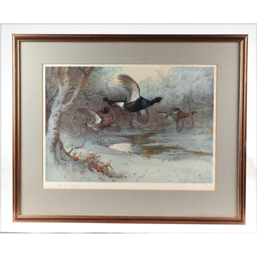 135 - After Archibald Thorburn (1860-1935) - Cock & Hen Pheasant in Flight Within a Winter Landscape - col... 