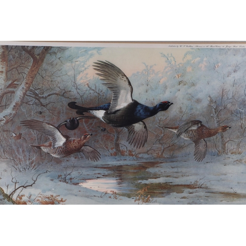 135 - After Archibald Thorburn (1860-1935) - Cock & Hen Pheasant in Flight Within a Winter Landscape - col... 