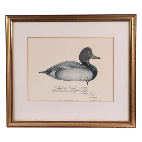 141 - After Archibald Thorburn (British 1860-1935) - Danger Aloft - limited edition print 199/500, 49 by 3... 