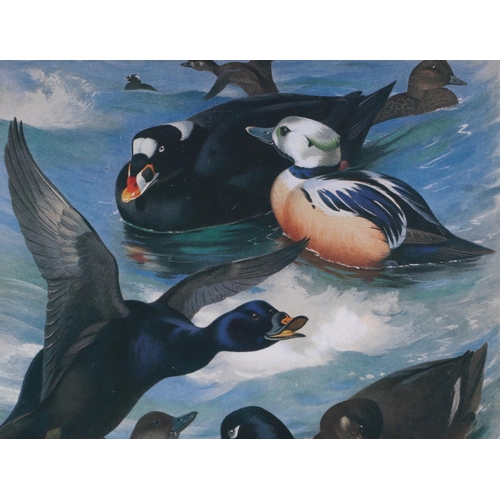 141 - After Archibald Thorburn (British 1860-1935) - Danger Aloft - limited edition print 199/500, 49 by 3... 