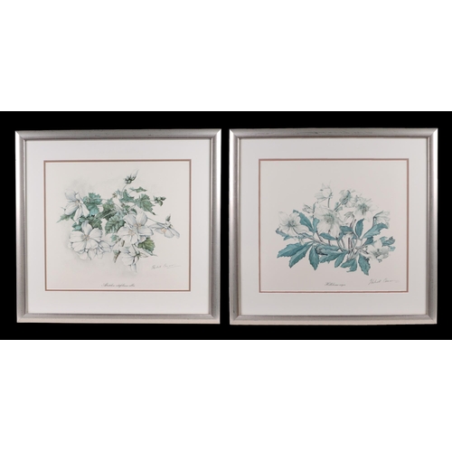 142 - After Elizabeth Cameron - two botanical flower prints, each 38 by 34cms, both framed & glazed (2).