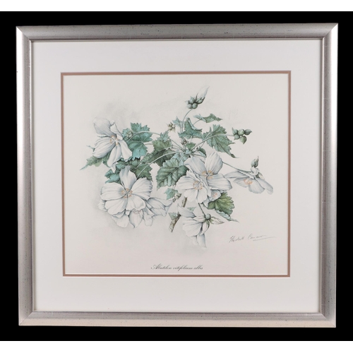 142 - After Elizabeth Cameron - two botanical flower prints, each 38 by 34cms, both framed & glazed (2).