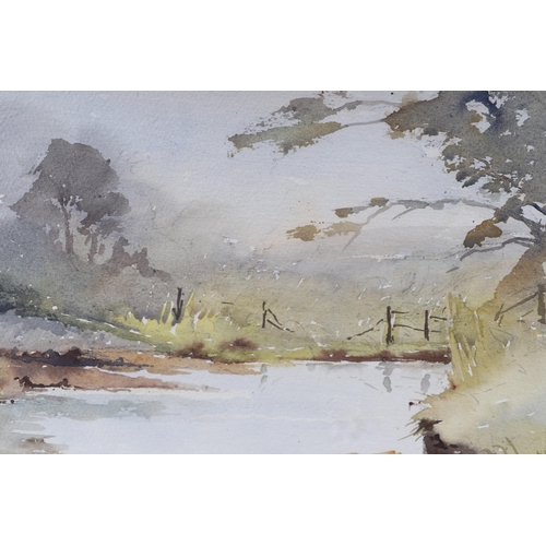 169 - 20th century English school - River Scene - watercolour, signed Anne(?) Williams lower right, 36 by ... 