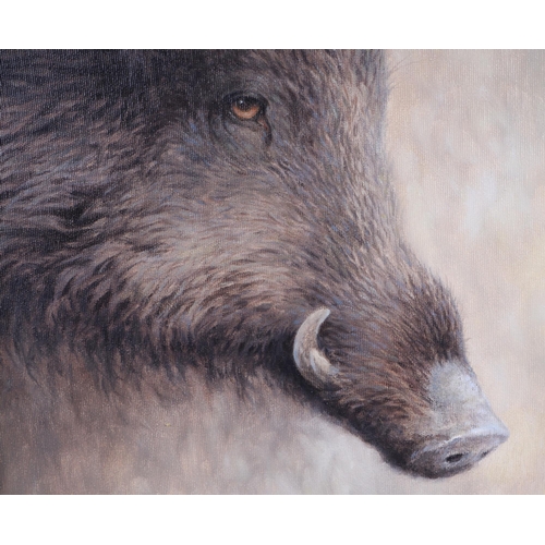 199 - Guy Troughton (modern British) - Head of a Wild Boar - signed lower left, oil on canvas, framed with... 