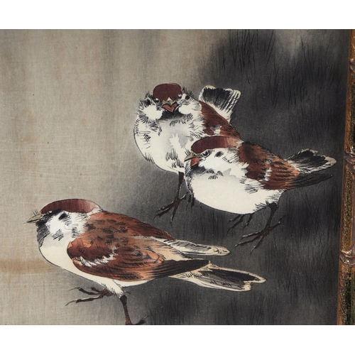 228 - Ohara Koson (Japanese 1877-1945 - Three Sparrows in a Rain Shower - coloured woodblock print, framed... 