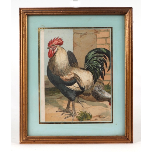 242 - After J W Ludlow - a quantity coloured prints depicting various breeds of poultry; together with sim... 