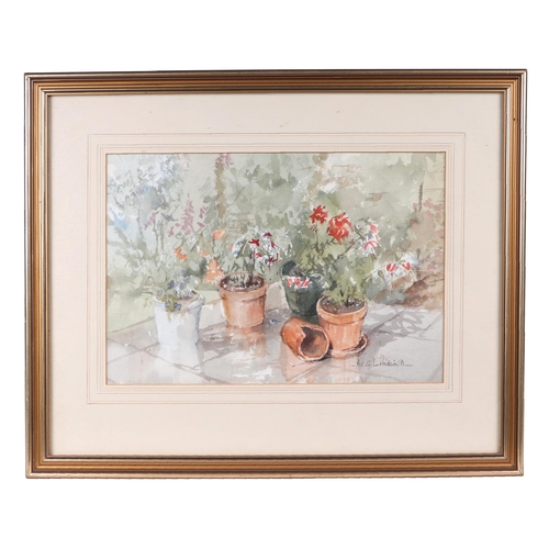 254 - Andy C G Le Poidevin - Pots on Patio - signed & dated 91 lower right, watercolour, framed & glazed, ... 