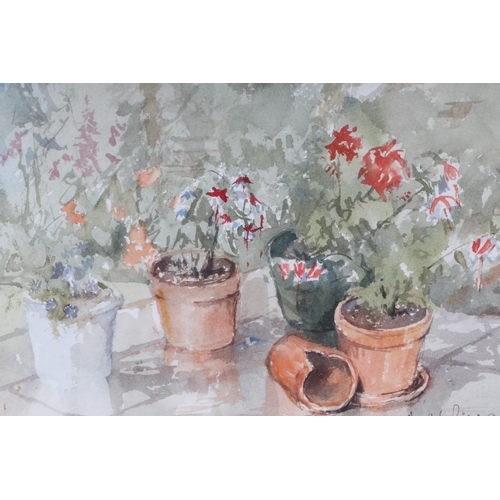 254 - Andy C G Le Poidevin - Pots on Patio - signed & dated 91 lower right, watercolour, framed & glazed, ... 