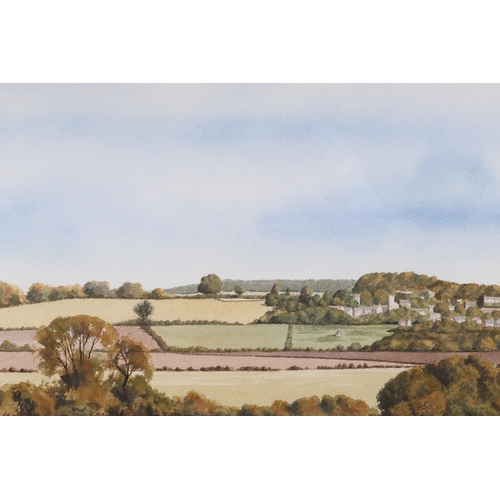 257 - Stuart James (modern British) - Coles Hill From Highworth - signed lower right, watercolour, framed ... 