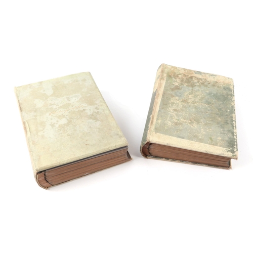 31 - Two late 19th / early 20th century photograph albums covering topographical, architectural, landscap... 