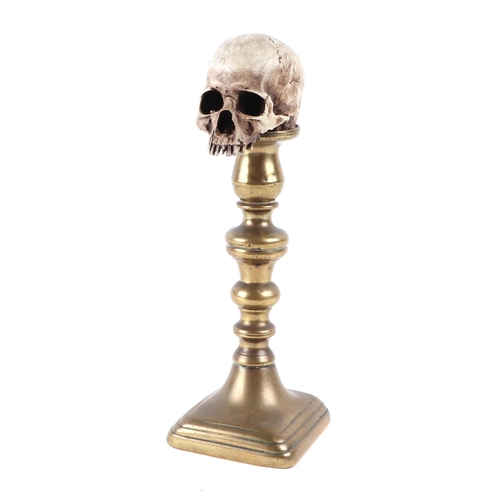 396 - A memento mori miniature plaster human skull on a brass column, approx 23cms high.