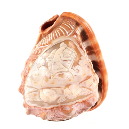 412 - A pair of conch shells, each carved with a cameo depicting a classical scene, each 12cms high (2).