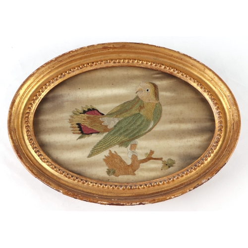 82 - Three early 19th century oval silkwork needlework pictures depicting birds by Susannah Cleeveland, w... 