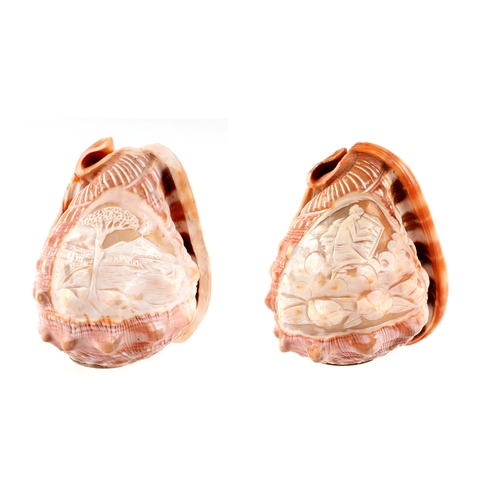 412 - A pair of conch shells, each carved with a cameo depicting a classical scene, each 12cms high (2).