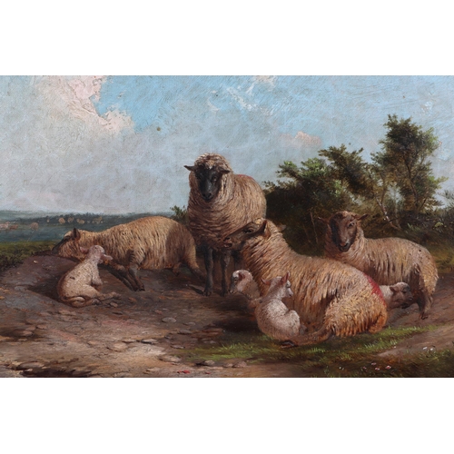 146 - 19th century English school - A Small Flock of Sheep in a Rural Landscape - oil on canvas, monogramm... 