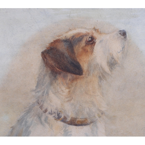 153 - J E Gaunt - Portrait of a Wired Hair Terrier Sitting on its Haunches - watercolour, signed & dated J... 