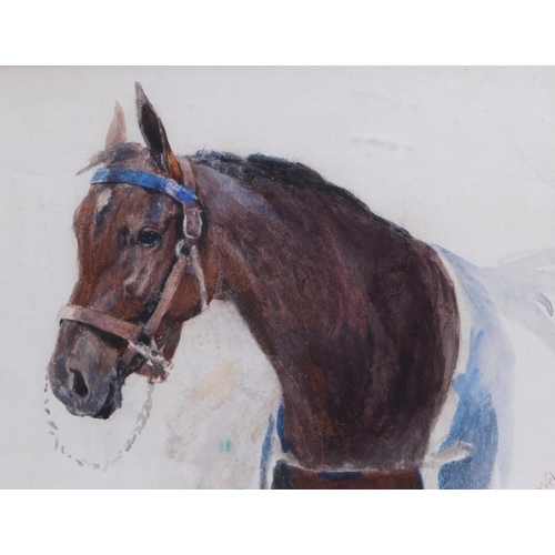 167 - Lucy Elizabeth Kemp-Welch (1869-1958) - head and shoulders portrait of a racehorse, watercolour, sig... 