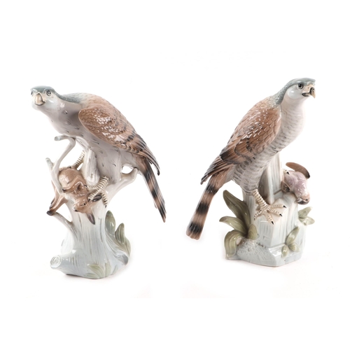 225 - A pair of continental porcelain figures in the form of falcons perched on a tree stump with their pr... 