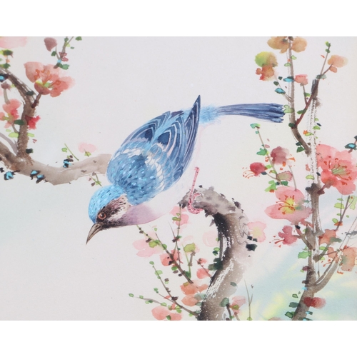 516 - S Chang (Chinese School) - Bird Perched on Flowering Prunus - signed lower left with red seal mark, ... 