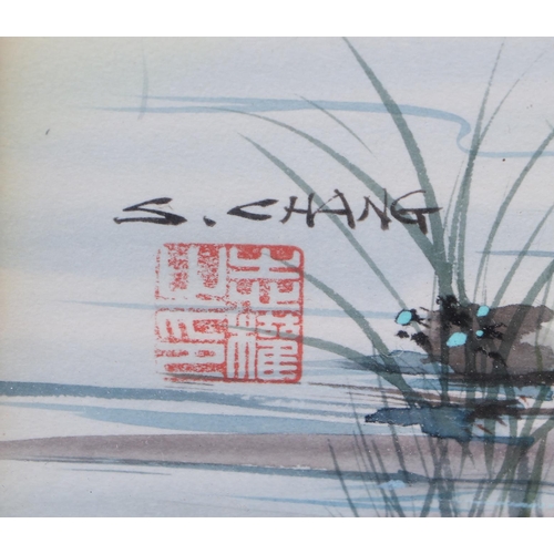 516 - S Chang (Chinese School) - Bird Perched on Flowering Prunus - signed lower left with red seal mark, ... 