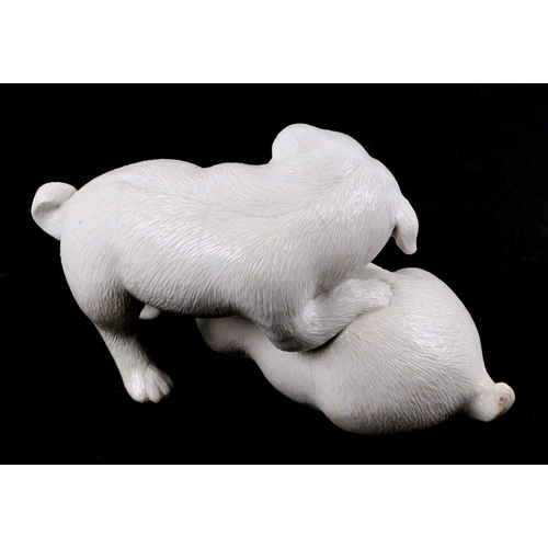 518 - A Japanese Hirado porcelain group in the form of two playing pug dogs, 17cms wide.