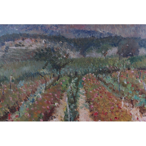 81 - Nigel Ramsey Newton (1903-1976)  - A French Vineyard with Mountains in the Distance - oil on canvas,... 