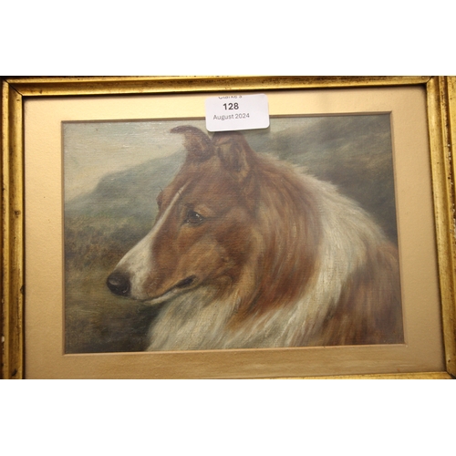 128 - Early 20th century British - Head & Shoulder Portrait of a Rough Haired Collie in a Landscape - 20 b... 