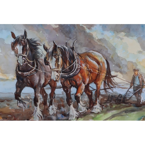 164 - Alan Langford (modern British) - A Shire Horse Plough Team with Ploughmen - watercolour, signed & da... 