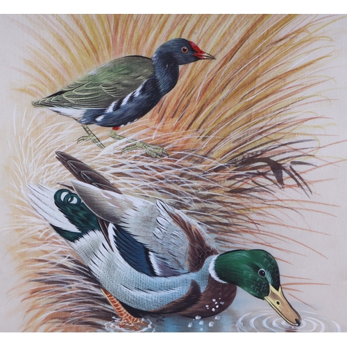 178 - 20th century British - Study of a Mallard Duck and a Moorhen - watercolour on textile, framed & glaz... 