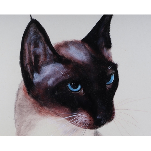 192 - A De Wiamu (?) (20th century school) - Portrait of a Siamese Cat - signed & dated '69 lower right, m... 