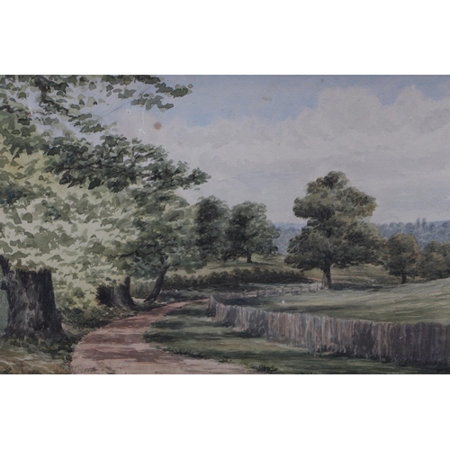 239 - Modern British - Wimbledon Park - indistinctly signed lower left, watercolour, framed & glazed, 38 b... 