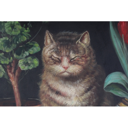 170 - Modern British - A Cat Sunning Himself between Geraniums and a Chinese Vase - oil on canvas, framed,... 