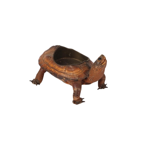 1623 - Taxidermy.  A Victorian novelty terrapin ashtray, 14cms long.