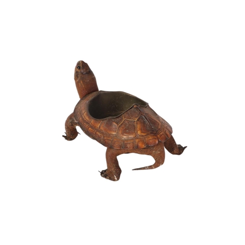 1623 - Taxidermy.  A Victorian novelty terrapin ashtray, 14cms long.