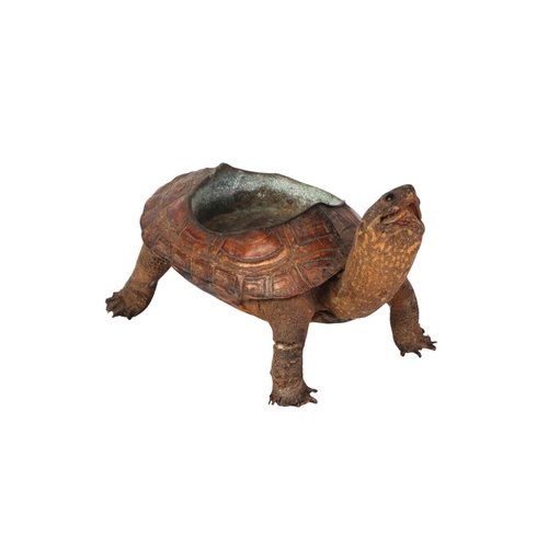 1624 - Taxidermy.  A Victorian novelty terrapin ashtray, 13.5cms long.