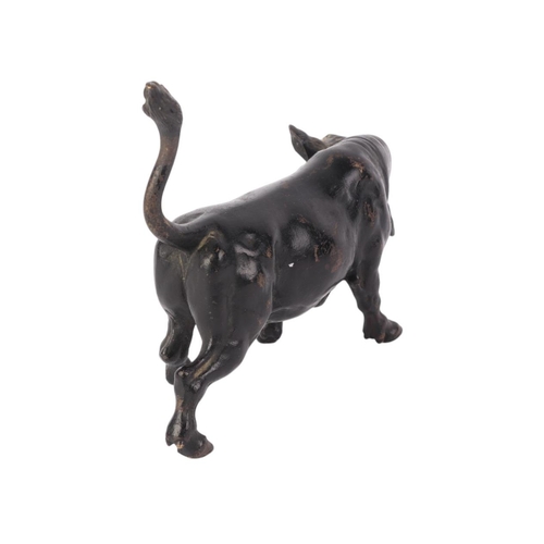 1639 - A Vienna cold painted bronze figure of a bull (lacking horns), 14cms long.