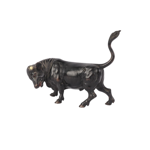 1639 - A Vienna cold painted bronze figure of a bull (lacking horns), 14cms long.