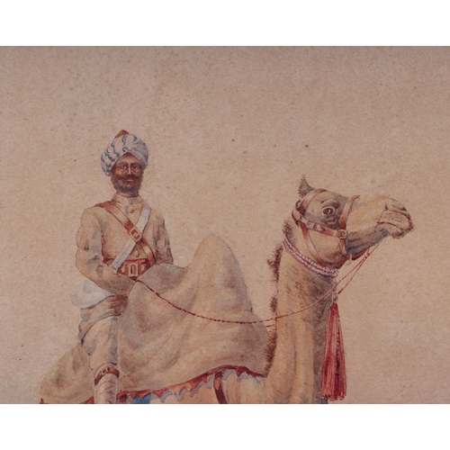 164 - Military interest.  F N Orattie ??? Indian / Afghan soldier on camel back, indistinctly signed & dat... 