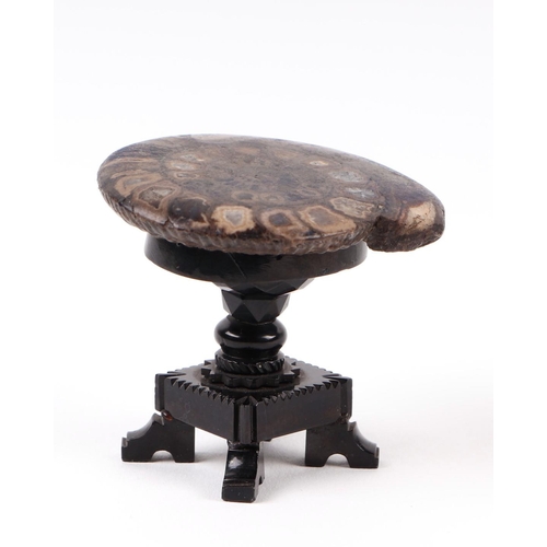 289 - A Whitby jet model of an occasional table with polished ammonite top on a quatrefoil base, 4.5cms hi... 