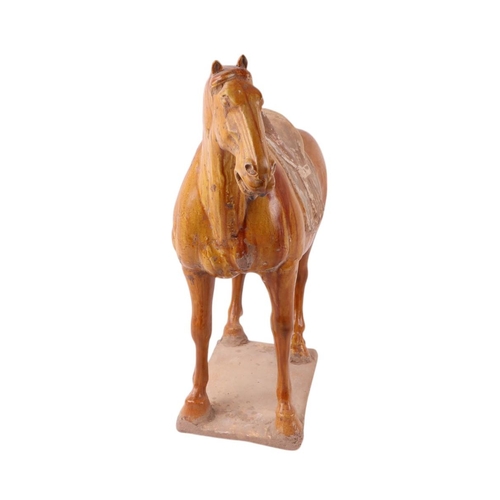 639 - A Chinese amber glazed pottery Tang style horse, 36cms high, with Oxford Authentication certificate.