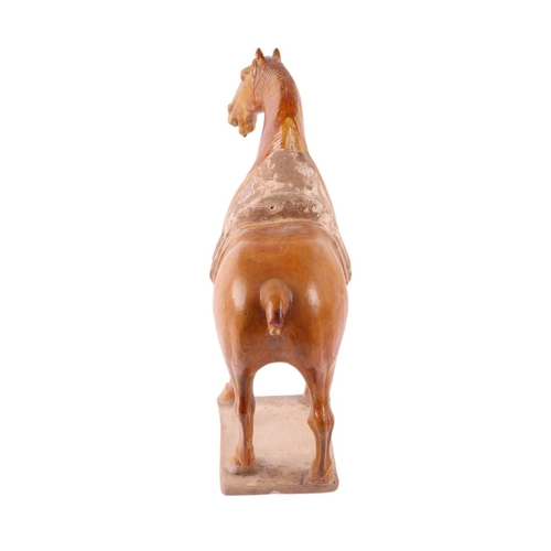 639 - A Chinese amber glazed pottery Tang style horse, 36cms high, with Oxford Authentication certificate.