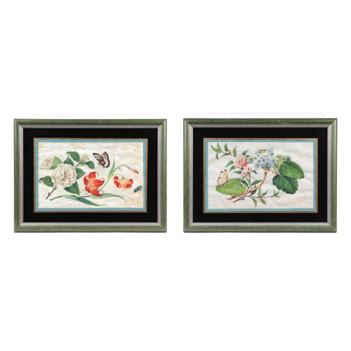 651 - A pair of Chinese watercolours on pith paper depicting butterflies and flowers, framed & glazed, eac... 