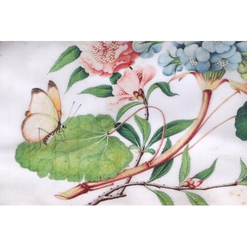 651 - A pair of Chinese watercolours on pith paper depicting butterflies and flowers, framed & glazed, eac... 