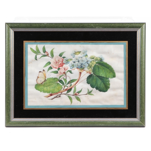 651 - A pair of Chinese watercolours on pith paper depicting butterflies and flowers, framed & glazed, eac... 