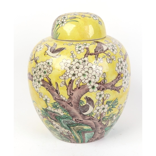 664 - A Chinese ginger jar and cover decorated with prunus and birds, on a yellow ground, six character bl... 