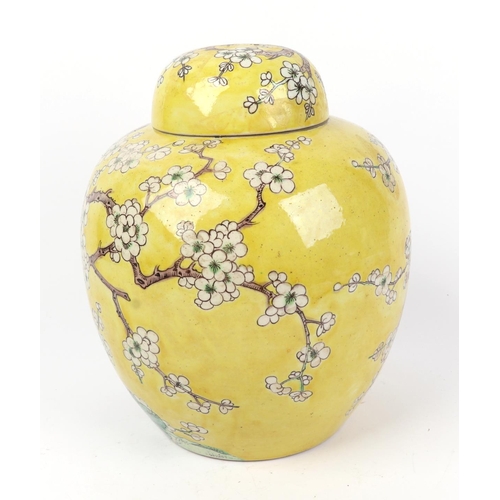 664 - A Chinese ginger jar and cover decorated with prunus and birds, on a yellow ground, six character bl... 