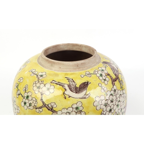 664 - A Chinese ginger jar and cover decorated with prunus and birds, on a yellow ground, six character bl... 