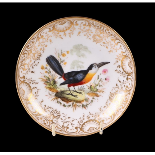 749 - A 19th century footed shallow bowl decorated with an exotic bird within a gilt border, possibly Swan... 