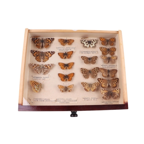 917 - A four-drawer collector's cabinet containing a selection of British butterflies with annotations, 30... 